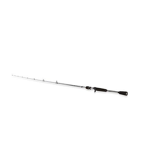 best casting rods under $100